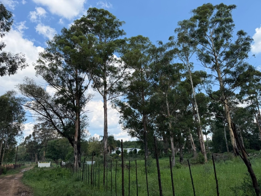 Commercial Property for Sale in Swartruggens North West